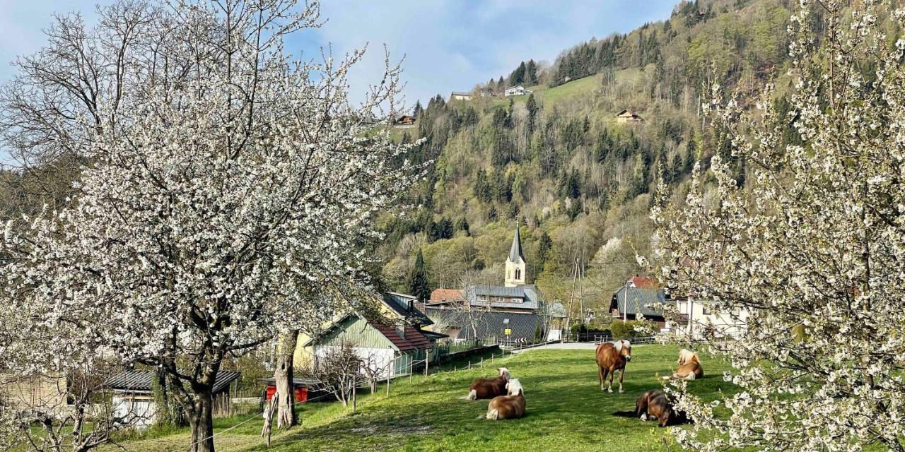 Landhaus Poelzl Bodensdorf Dış mekan fotoğraf